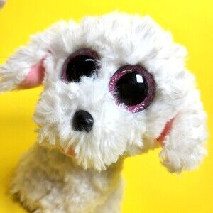 TY  White Puppy Dog Plush Pippie Beanie Boos  Collectible Sparkle Eyes 6 inch